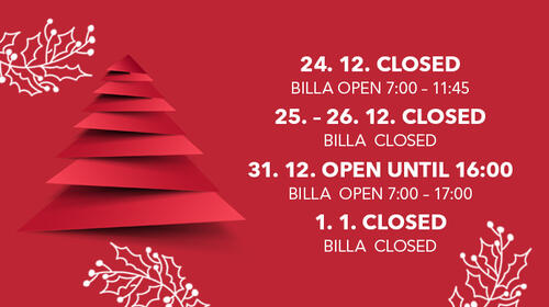 Opening hours during the Christmas holidays