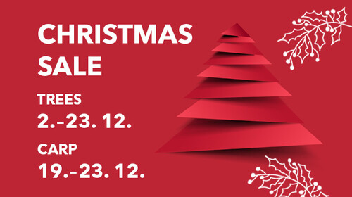 Christmas sale – trees and carp